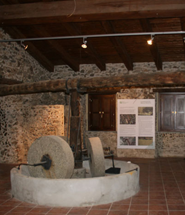 Museo dell'Olio di Oliva e della Civiltà Contadina